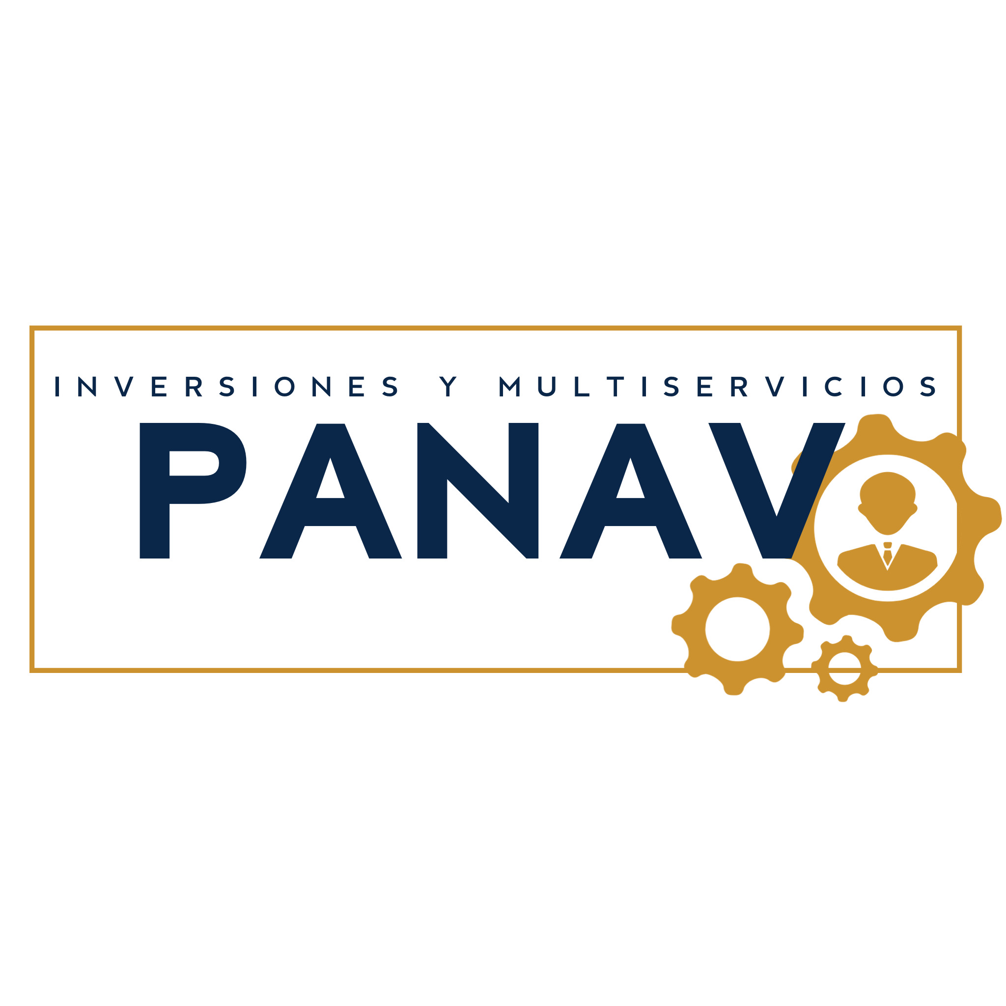 Logo de INVERSIONES Y MULTISERVICIOS PANAV